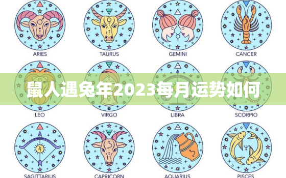 鼠人遇兔年2023每月运势如何，鼠在兔年运势2023运势详解