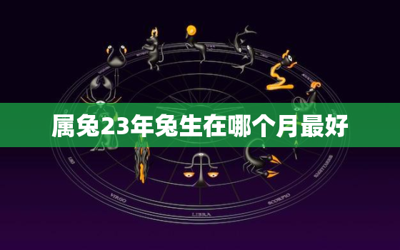 属兔23年兔生在哪个月最好，23年兔子好不好