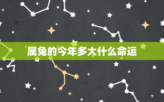 属兔的今年多大什么命运，属兔的今年多大年龄哪年出生的