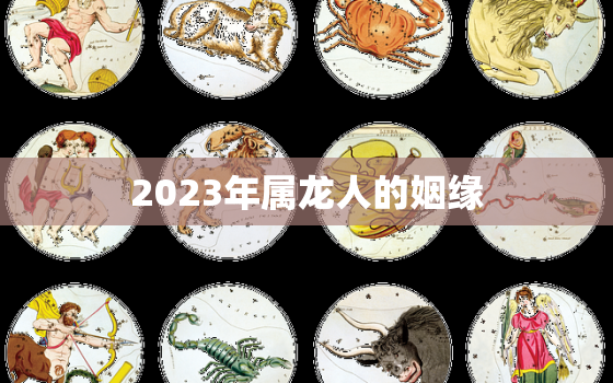 2023年属龙人的姻缘，2023年属龙运势及运程