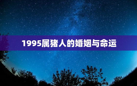 1995属猪人的婚姻与命运，1995属猪的命运如何