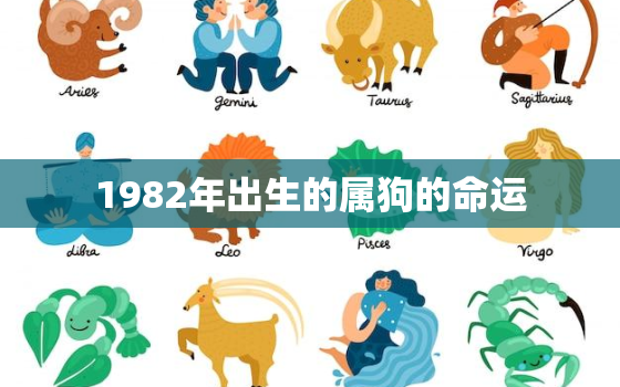 1982年出生的属狗的命运，1982年出生属狗人一生运势