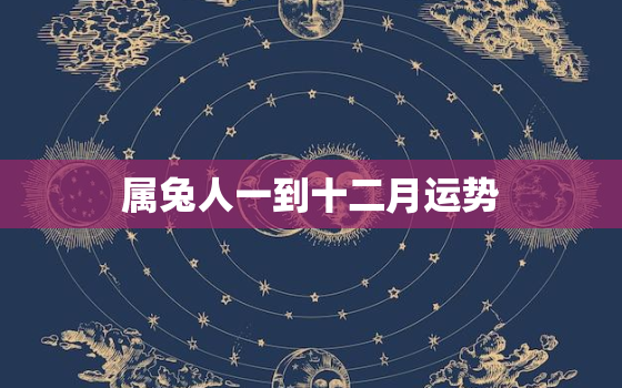 属兔人一到十二月运势，属兔人12个月运势