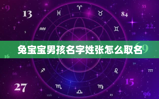 兔宝宝男孩名字姓张怎么取名，张姓属兔