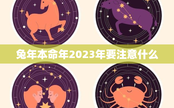 兔年本命年2023年要注意什么，兔年本命年2023年运势