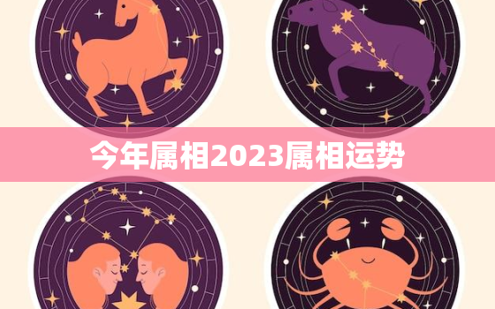 今年属相2023属相运势，2022年2023年属相