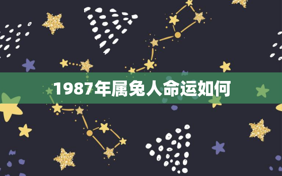 1987年属兔人命运如何，1987年属兔人的命理和运势