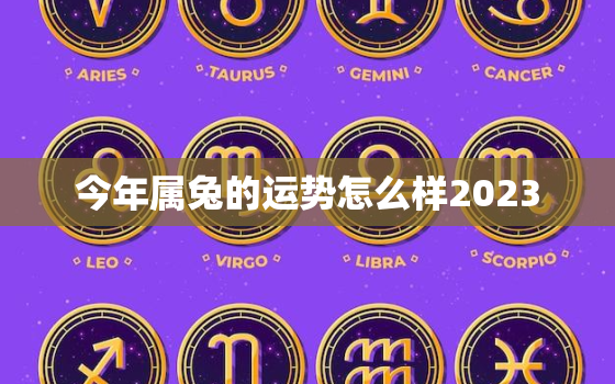 今年属兔的运势怎么样2023，今年属兔的运势怎么样2023年运程