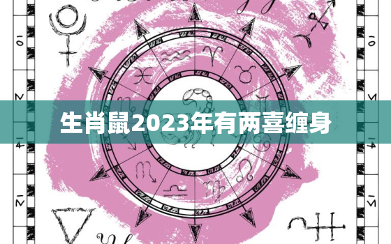 生肖鼠2023年有两喜缠身，属鼠2023年宜生孩子吗