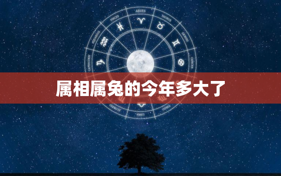 属相属兔的今年多大了，属兔的今年大概多少岁