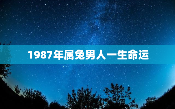 1987年属兔男人一生命运，1987年属兔男人的命运怎么样