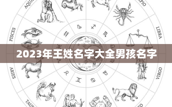 2023年王姓名字大全男孩名字，2022王姓宝宝取名字大全