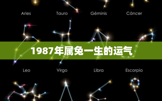 1987年属兔一生的运气，1987年属兔人个生肖年运势