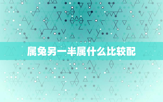 属兔另一半属什么比较配，属兔的最佳伴侣