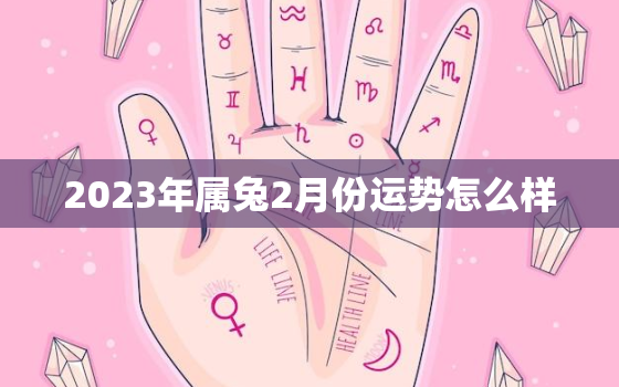 2023年属兔2月份运势怎么样，2023年属兔人的全年每月