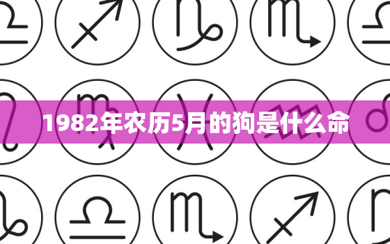 1982年农历5月的狗是什么命，1982年农历5月出生的人是什么命