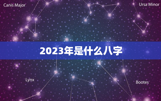 2023年是什么八字，2023年是什么年什么命,几月生好