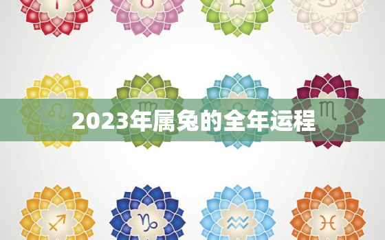 2023年属兔的全年运程，2023年属兔人全年运势如何