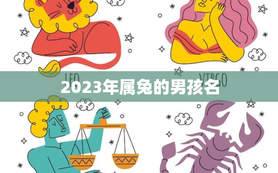 2023年属兔的男孩名，2023年兔宝宝男孩