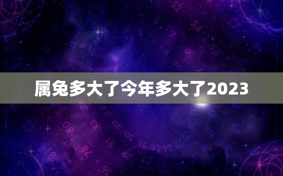 属兔多大了今年多大了2023，属兔的今年多大2022