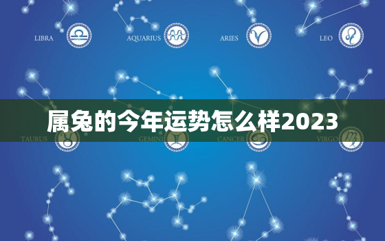 属兔的今年运势怎么样2023，属兔的今年运势怎么样202