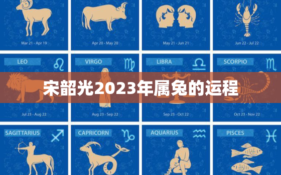 宋韶光2023年属兔的运程，宋韶光2020年生肖兔运程每月运势