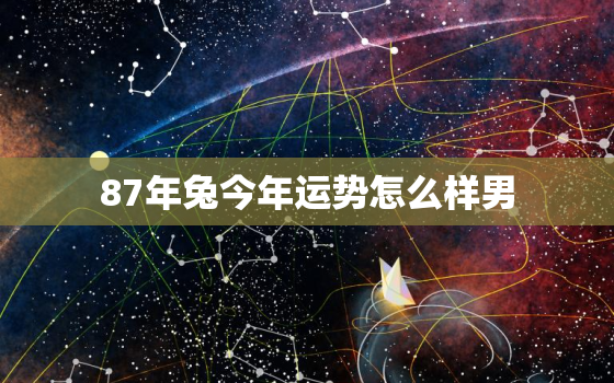 87年兔今年运势怎么样男，87年的兔今年运势怎么样