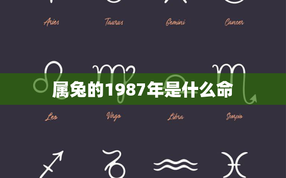 属兔的1987年是什么命，1987年属属兔是什么命