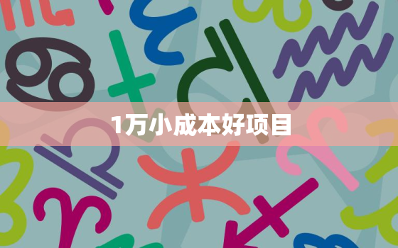 1万小成本好项目，1万元成本创业