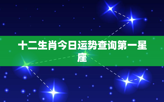 十二生肖今日运势查询第一星座，十二生肖今日运势解读