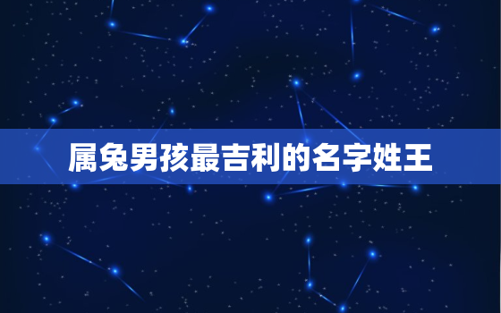 属兔男孩最吉利的名字姓王，属兔男孩最吉利的名字姓王怎么取