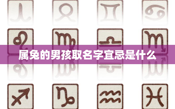 属兔的男孩取名字宜忌是什么，属兔男孩名字2021年名字大全