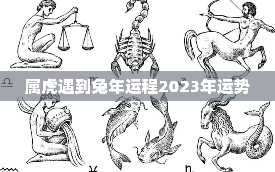 属虎遇到兔年运程2023年运势，属虎人遇兔年运势