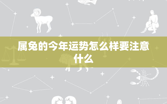 属兔的今年运势怎么样要注意什么，属兔的今年的运势怎么样