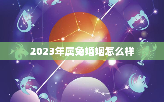 2023年属兔婚姻怎么样，2023年兔年适合结婚的属相