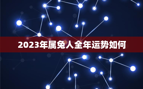 2023年属兔人全年运势如何，2023年属兔人的命运