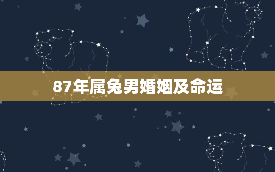 87年属兔男婚姻及命运，87年属兔男婚姻及命运怎么样