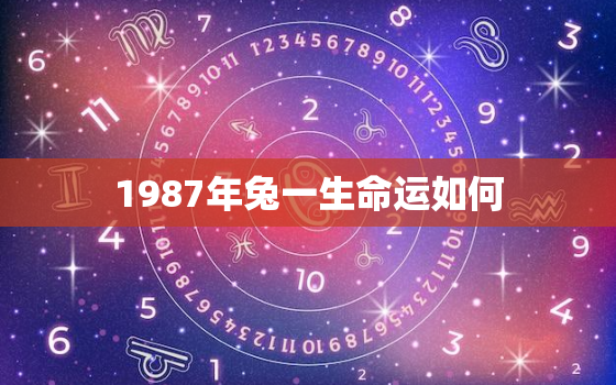 1987年兔一生命运如何，1987年兔一生的命运