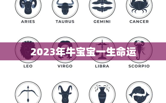 2023年牛宝宝一生命运，属牛的2023年适合生孩子吗