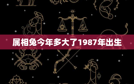 属相兔今年多大了1987年出生，生肖兔的今年几岁