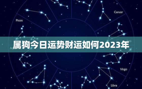 属狗今日运势财运如何2023年，属狗今日运势及财运