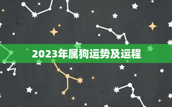 2023年属狗运势及运程，2023年属狗的全年运势