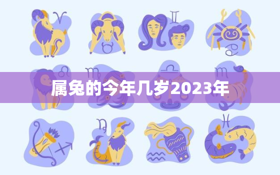 属兔的今年几岁2023年，属兔的今年多大2022