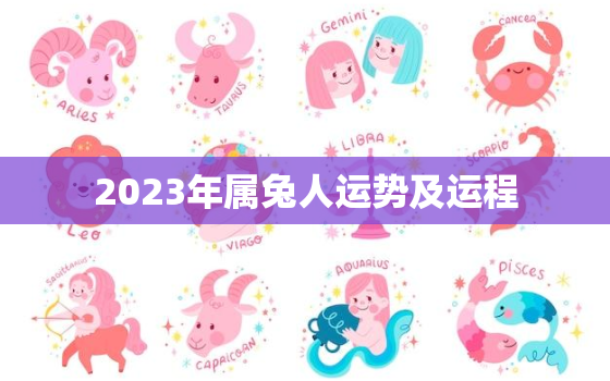 2023年属兔人运势及运程，2023年属兔的全年运势