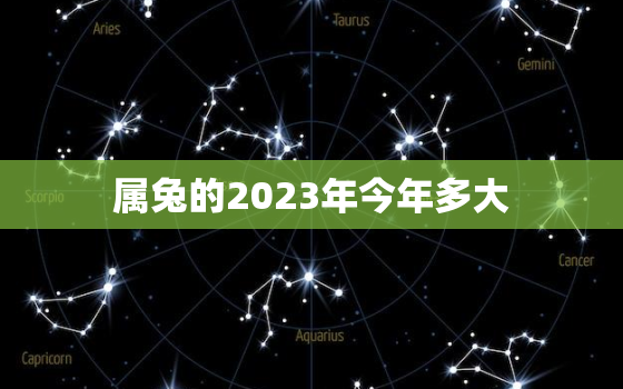 属兔的2023年今年多大，2033年属兔的多大