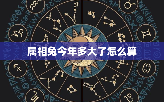 属相兔今年多大了怎么算，属相是兔今年多大