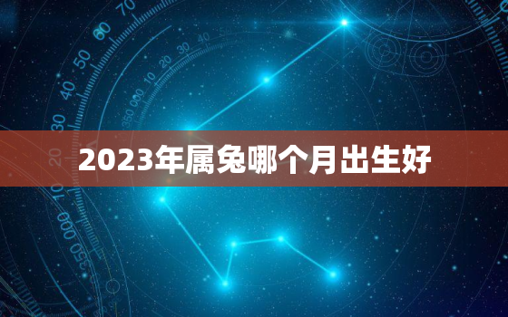 2023年属兔哪个月出生好，2023年兔宝宝忌讳几月出生