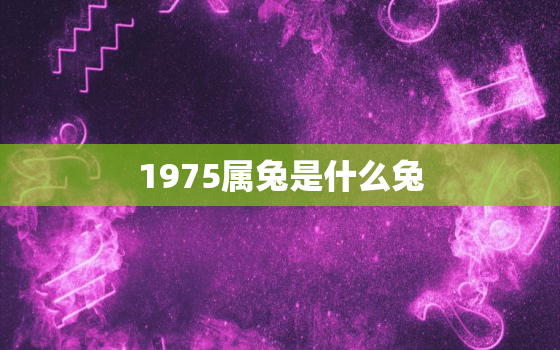 1975属兔是什么兔，1975属兔吗