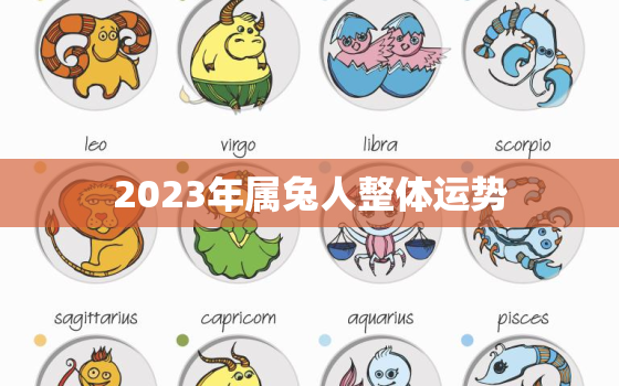 2023年属兔人整体运势，2023年属兔运势及运程