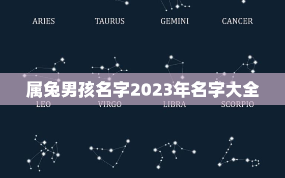 属兔男孩名字2023年名字大全，2023属兔男孩最吉利的名字